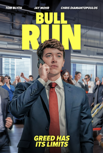 Bull Run — project artwork